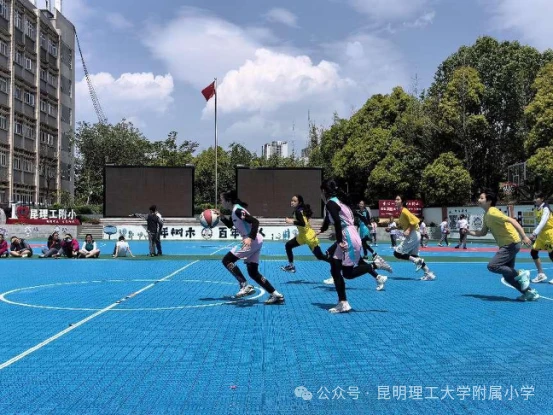 哪里有适合初学者的篮球训练管理指南_2
